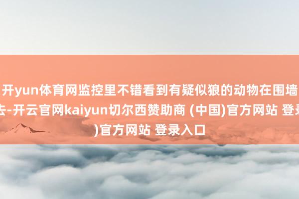 开yun体育网监控里不错看到有疑似狼的动物在围墙上来去-开云官网kaiyun切尔西赞助商 (中国)官方网站 登录入口