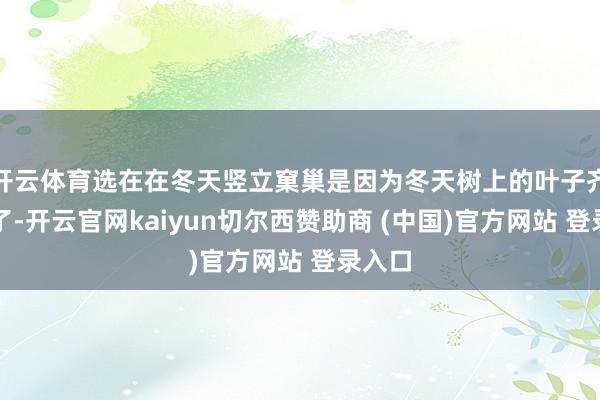 开云体育选在在冬天竖立窠巢是因为冬天树上的叶子齐掉光了-开云官网kaiyun切尔西赞助商 (中国)官方网站 登录入口