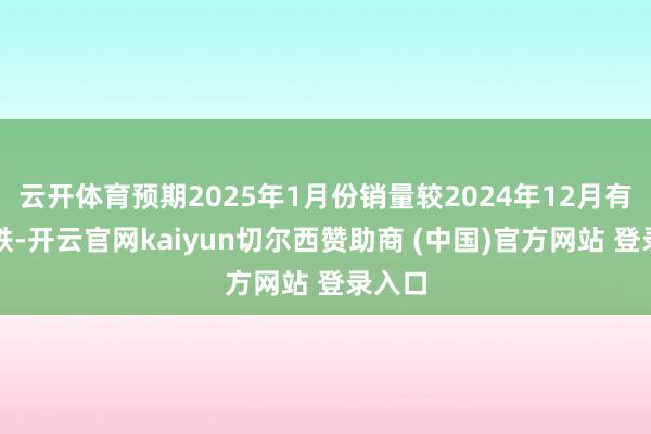 云开体育预期2025年1月份销量较2024年12月有所下跌-开云官网kaiyun切尔西赞助商 (中国)官方网站 登录入口