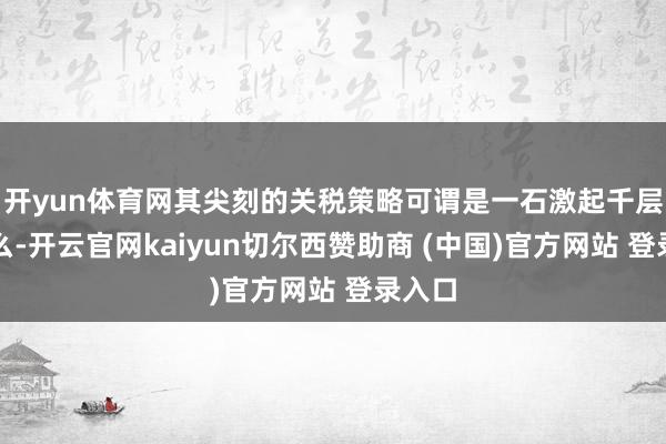 开yun体育网其尖刻的关税策略可谓是一石激起千层浪那么-开云官网kaiyun切尔西赞助商 (中国)官方网站 登录入口